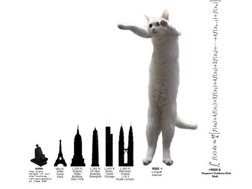 <img500*0:stuff/aj/32014/1236072994.jpg>