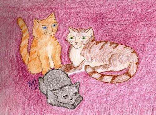 <img500*0:stuff/aj/37513/Kittens.jpg>