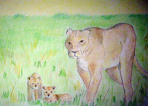 <img:stuff/aj/37513/lions.jpg>