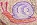 <img:stuff/aj/37513/snail%20mood.jpg>