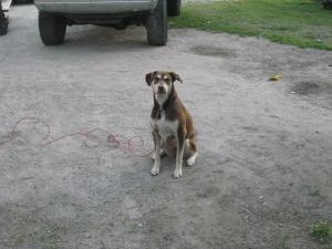 <img300*0:stuff/aj/39710/bella1.jpg>