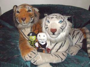 <img300*0:stuff/aj/40324/Meet_BobSA.jpg>