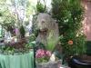 <img100*0:stuff/aj/42000/1240854112.jpg>