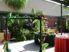 <img100*0:stuff/aj/42000/1240854567.jpg>
