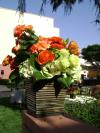<img100*0:stuff/aj/42000/1240857099.jpg>