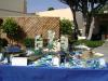 <img100*0:stuff/aj/42000/1240857258.jpg>