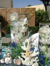 <img100*0:stuff/aj/42000/1240858037.jpg>