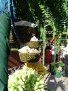<img100*0:stuff/aj/42000/1240935978.jpg>