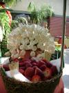 <img100*0:stuff/aj/42000/1240936069.jpg>