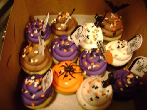 <img500*0:stuff/aj/42000/1241823695.jpg>