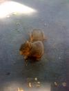 <img100*0:stuff/aj/42000/1242589249.jpg>