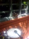 <img100*0:stuff/aj/42000/1242589300.jpg>