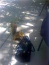 <img100*0:stuff/aj/42000/1242589909.amp>