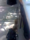 <img100*0:stuff/aj/42000/1242589959.jpg>