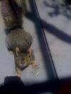 <img100*0:stuff/aj/42000/1242589992.jpg>