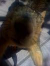 <img100*0:stuff/aj/42000/1242590025.jpg>