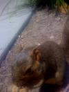 <img100*0:stuff/aj/42000/1242949502.jpg>