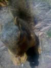 <img100*0:stuff/aj/42000/1242949525.jpg>