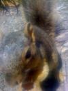 <img100*0:stuff/aj/42000/1242949556.jpg>