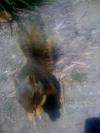 <img100*0:stuff/aj/42000/1242949588.jpg>
