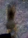 <img100*0:stuff/aj/42000/1242949683.jpg>
