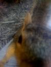 <img100*0:stuff/aj/42000/1242949710.jpg>