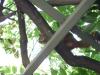 <img100*0:stuff/aj/42000/1242949960.jpg>