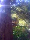 <img100*0:stuff/aj/42000/1242950096.jpg>