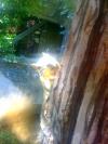 <img100*0:stuff/aj/42000/1242950161.jpg>
