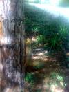 <img100*0:stuff/aj/42000/1242950191.jpg>