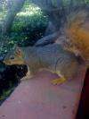 <img100*0:stuff/aj/42000/1242950319.jpg>