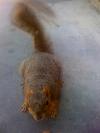 <img100*0:stuff/aj/42000/1242950452.jpg>