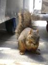 <img100*0:stuff/aj/42000/1242951588.jpg>