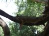 <img100*0:stuff/aj/42000/1242953236.jpg>