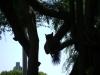 <img100*0:stuff/aj/42000/1242953306.jpg>
