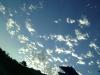<img100*0:stuff/aj/42000/1246978199.jpg>