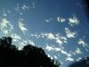 <img100*0:stuff/aj/42000/1246978257.jpg>