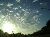 <img100*0:stuff/aj/42000/1246978311.jpg>