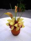 <img100*0:stuff/aj/42000/1255712588.jpg>