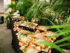 <img100*0:stuff/aj/42000/1255712971.jpg>