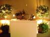 <img100*0:stuff/aj/42000/1255714110.jpg>