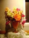 <img100*0:stuff/aj/42000/1255714141.jpg>