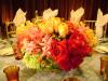 <img100*0:stuff/aj/42000/1255720375.jpg>