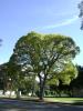 <img0*100:stuff/aj/42000/1256171236.jpg>