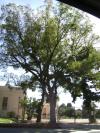 <img100*0:stuff/aj/42000/1256171272.jpg>