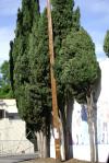 <img100*0:stuff/aj/42000/1256171677.jpg>