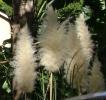 <img0*100:stuff/aj/42000/1256171721.jpg>