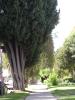 <img0*100:stuff/aj/42000/1256171752.jpg>
