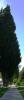 <img0*100:stuff/aj/42000/1256171769.jpg>