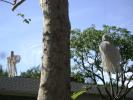 <img0*100:stuff/aj/42000/1256171808.jpg>